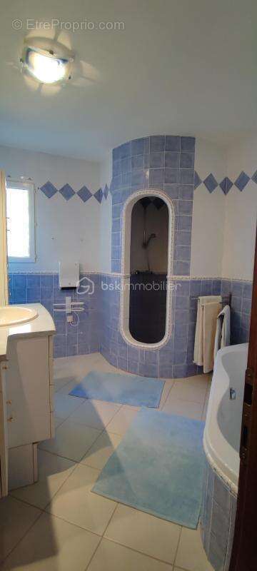 Villa traditionnelle 250 m² T2 terrain 7300 m² Piscine - photo 20