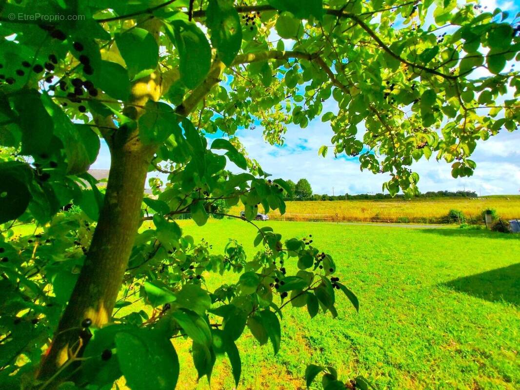 Photo 1 - Terrain à BAUGE