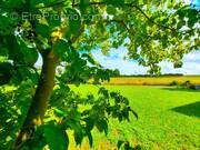 Photo 1 - Terrain à BAUGE