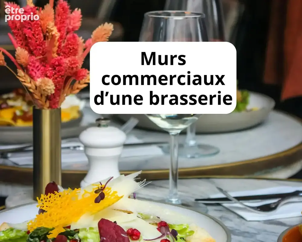 Commerce à SAINT-PAUL