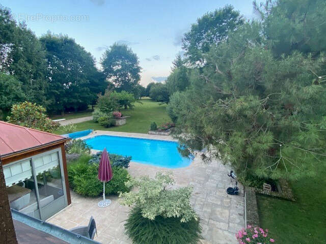 Propriété avec piscine à 2 pas de la Loire sur un parc arboré de 8900 m² à Germigny Des Prés - photo 11
