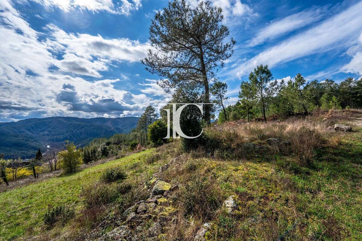 Terrain 9650m² situe plein sud - photo 11