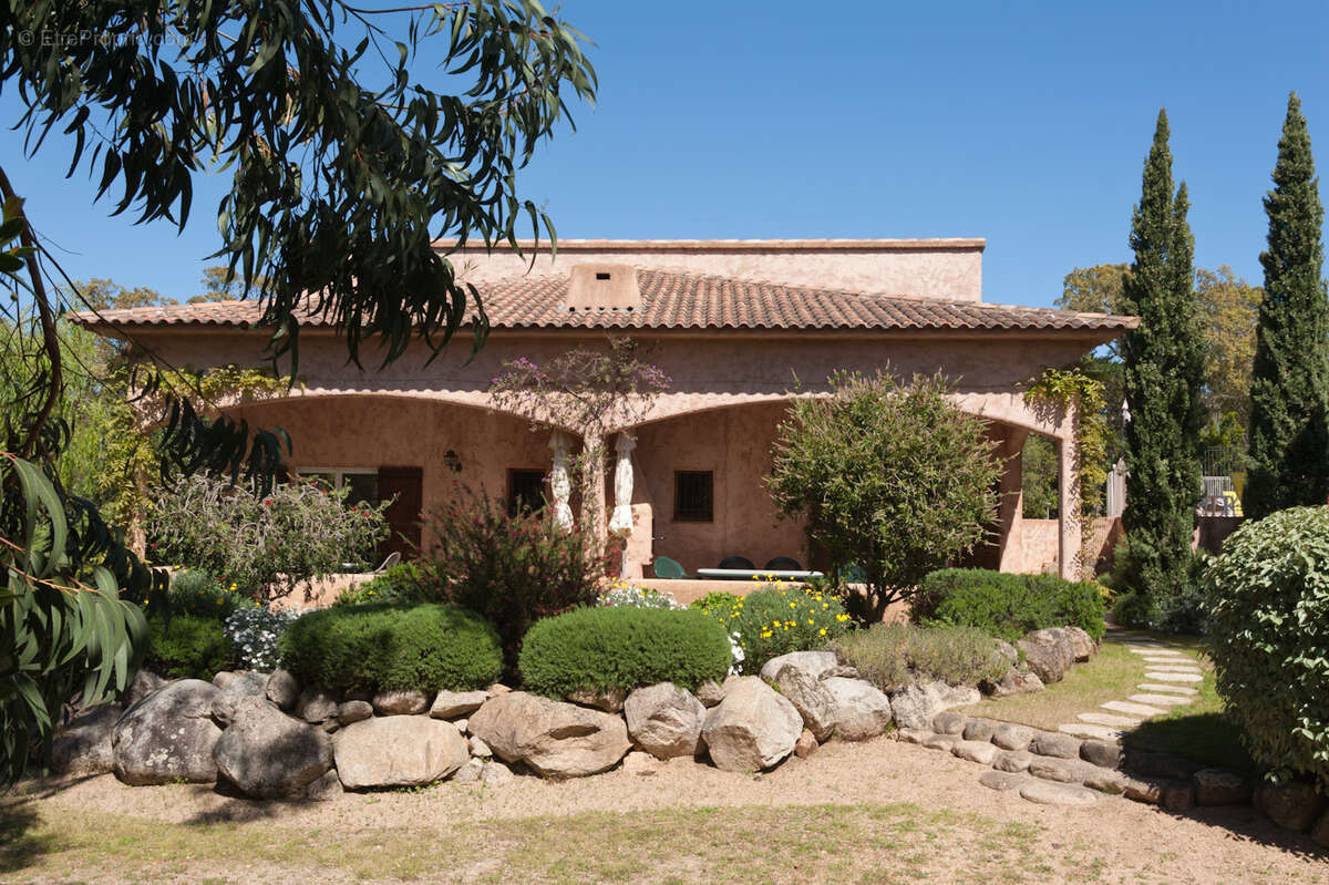 Maison à ZONZA