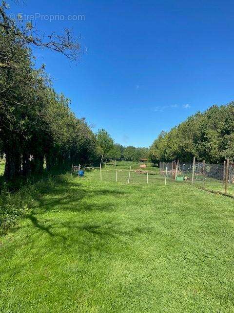 ABP AVOCATS CONSEILS, votre cabinet d'avocats , met en vente un Domaine de 3 hectares à Saint-Rémy-de-Provence : Votre havre de  - photo 5