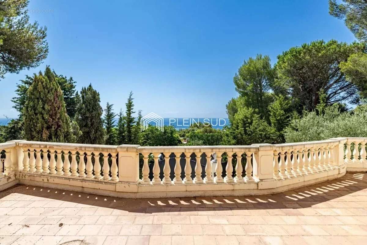 Saint Jean Cap Ferrat, emplacement exceptionnel ! - photo 2