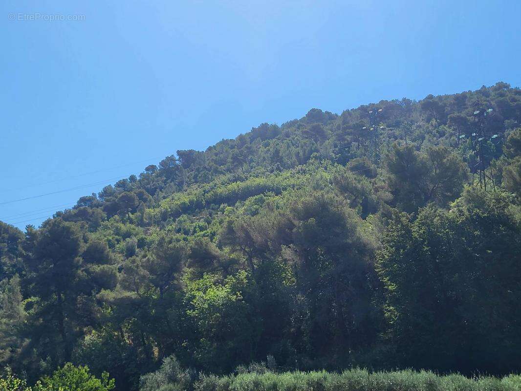 Terrain 3964 m² à La Trinite  - photo 11