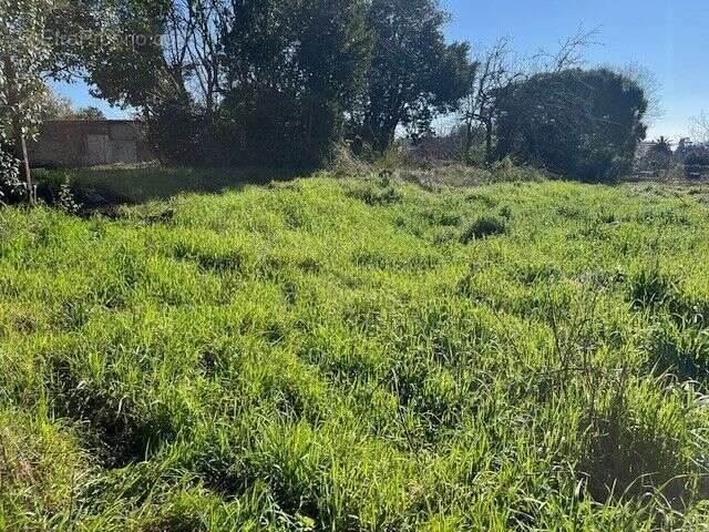 Terrain à CANNES