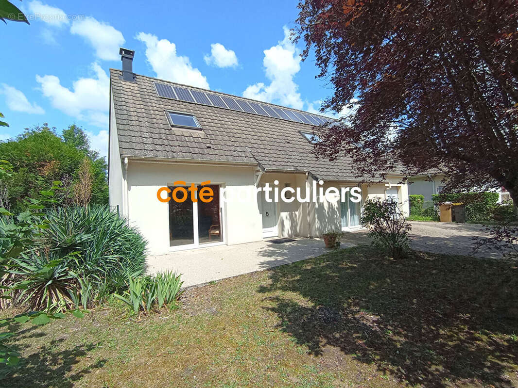 Villemandeur - photo 14