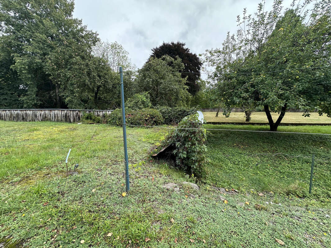 IMG_0863 - Appartement à LE THILLOT