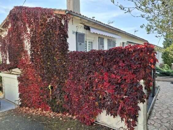 La même chose, mais.....en automne - Maison à CIVRAY