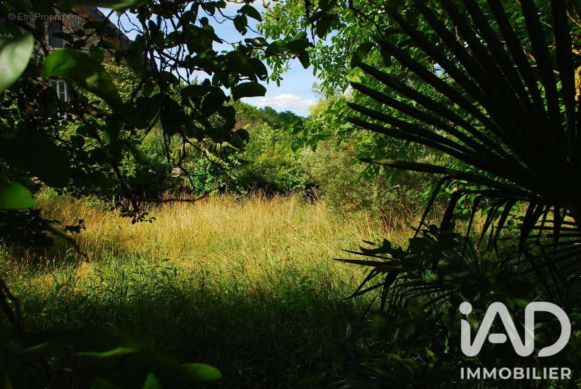 Terrain 3473 m² à Carla-De-Roquefort  - photo 5
