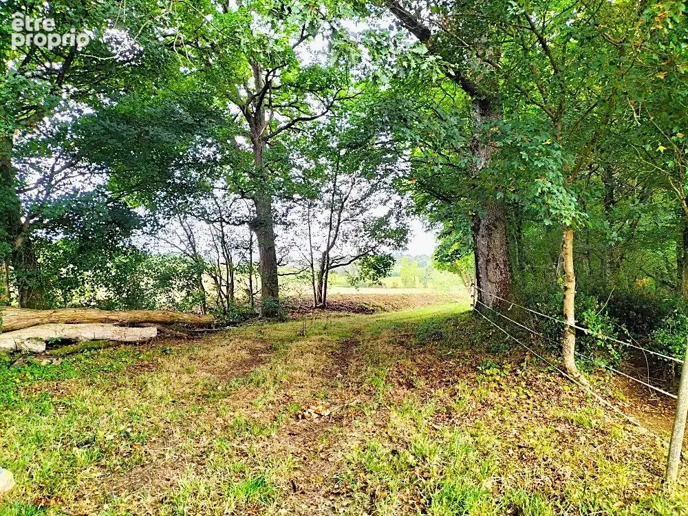 Terrain 267 883 m² à vendre à Margouet-Meymes (32290) - photo 2