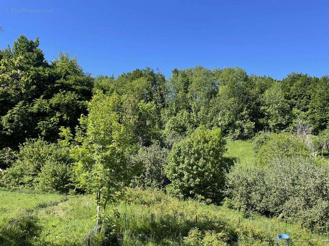 Maison à SAINT-LAURENT-DU-CROS