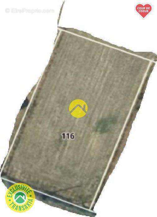 Terrain à LE MONTET