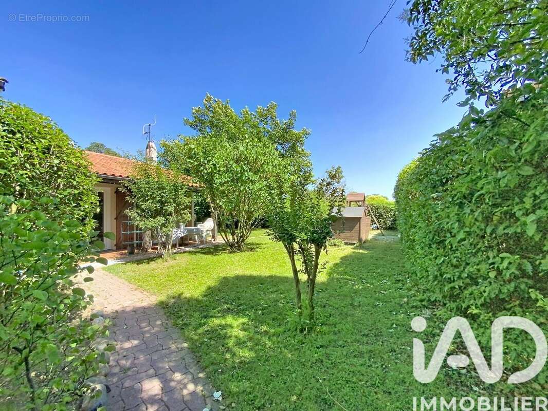 Photo 4 - Maison à TOURNEFEUILLE