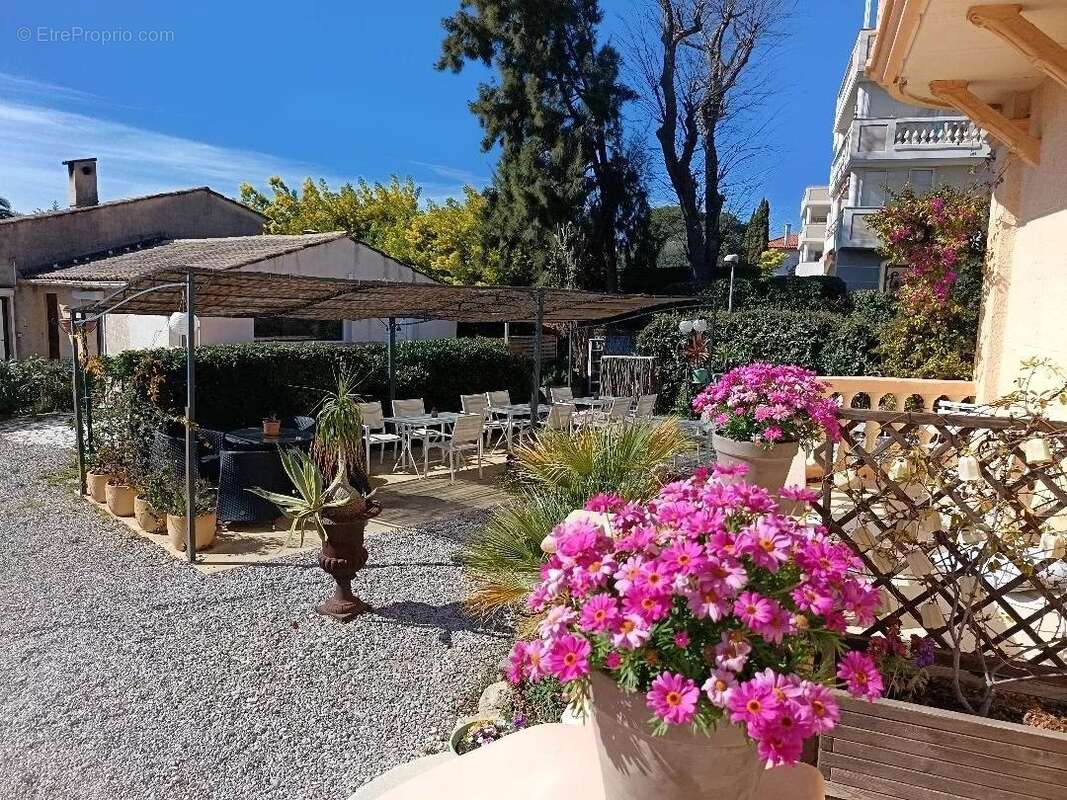 Commerce à SAINT-RAPHAEL