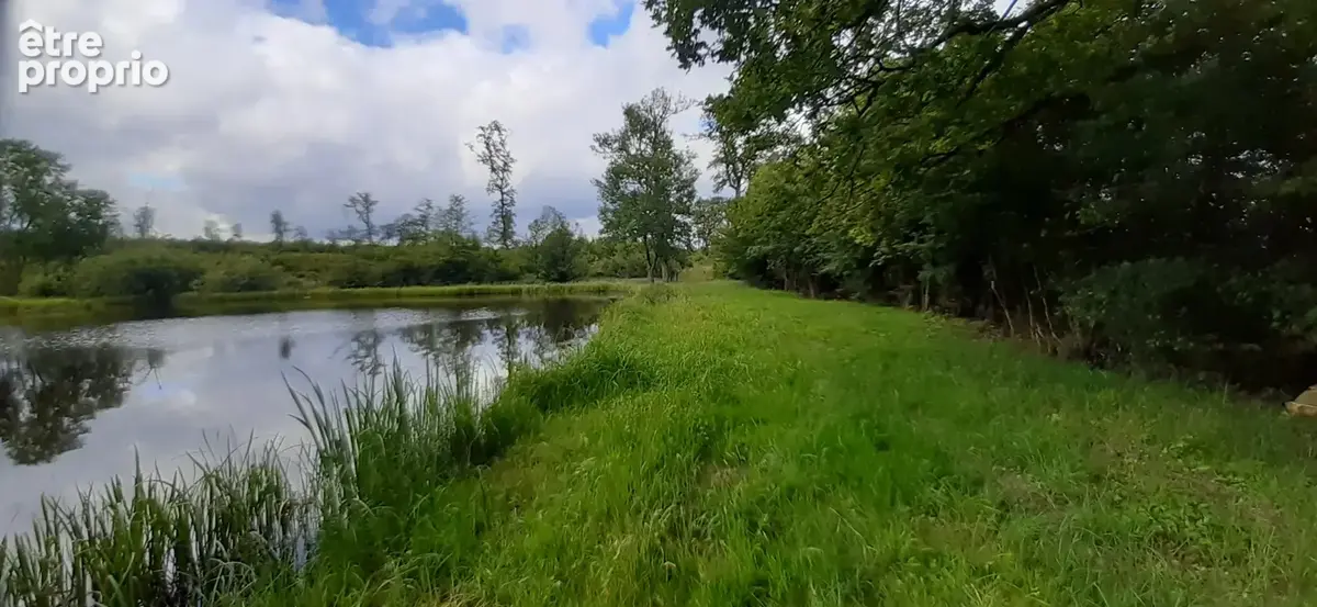 Etang vidangeable 1 ha avec abri pêche - photo 2