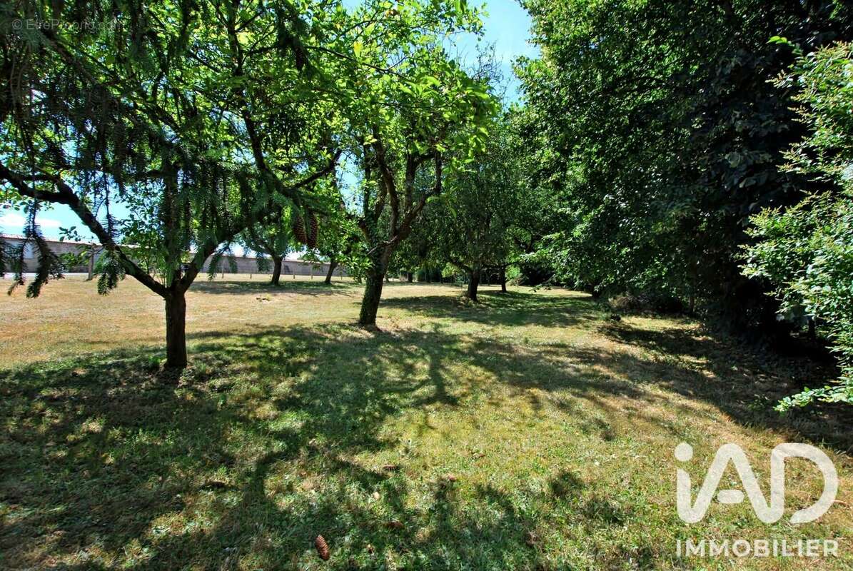 Terrain 3520 m² à Santranges  - photo 4