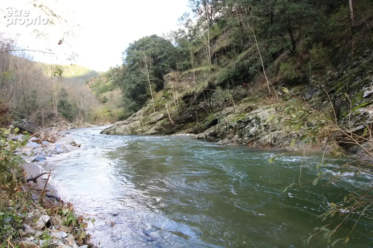 MAS 360 de volume + 25 hectares. - photo 127