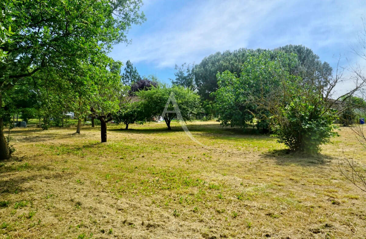 Terrain à MONTAIGUT-SUR-SAVE