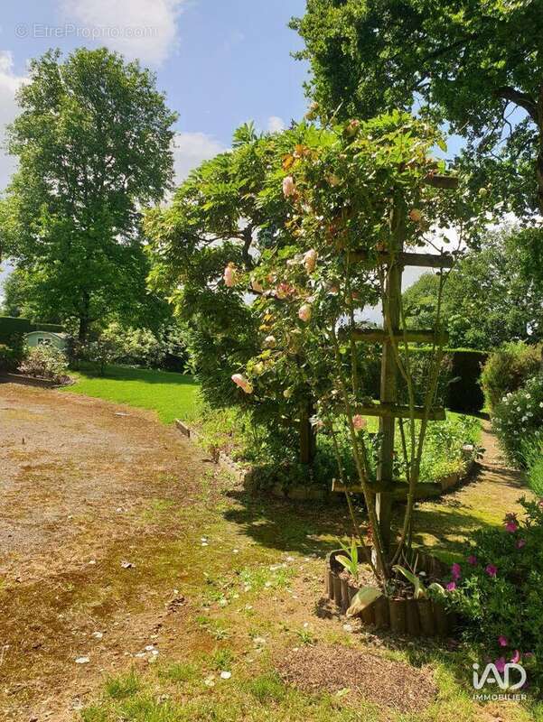 Photo 7 - Maison à SAINT-BERTHEVIN