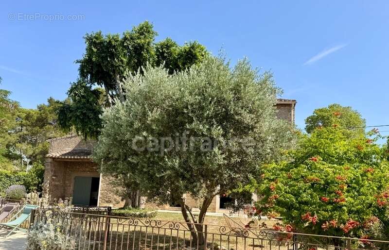 Maison de Maitre CARCASSONNE sur 233m2 habitables , 5 chambres, garage, piscine terrain 1100m2 - photo 46