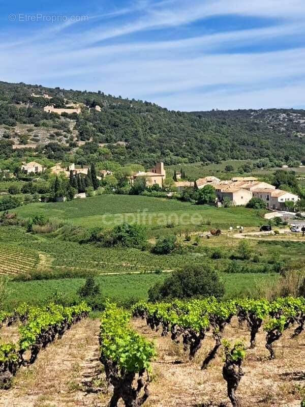 Terrain à MONTPEYROUX