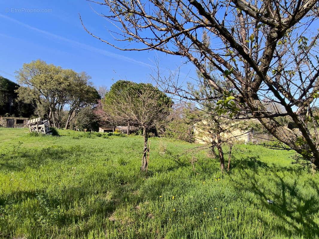 Terrain à SAINT-LAURENT-LA-VERNEDE