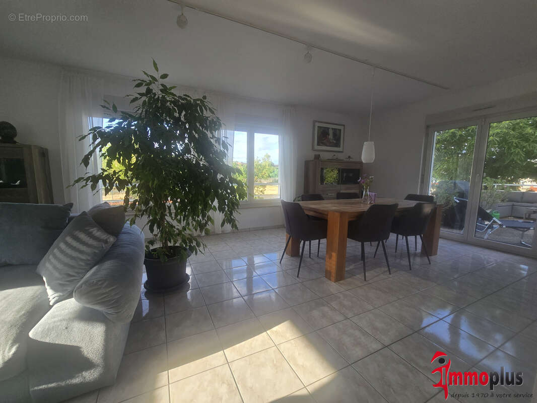 Rumersheim-Le-Haut : maison familiale 4 chambres et 1 studio - photo 3