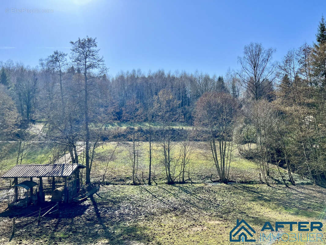 Maison à NEUFMAISONS