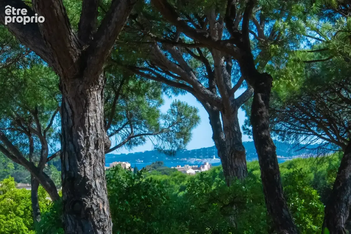 Sainte-maxime – résidence les pins bleus - photo 4