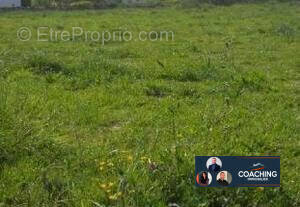 Terrain à VITRY-LE-FRANCOIS