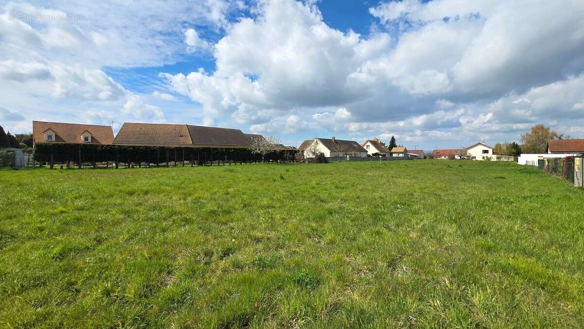 Terrain à CHATENOY-EN-BRESSE