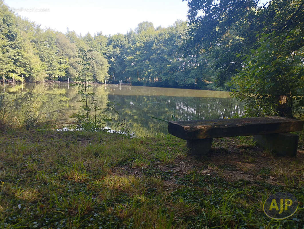 Terrain à SAINT-ANDRE-DE-LA-MARCHE
