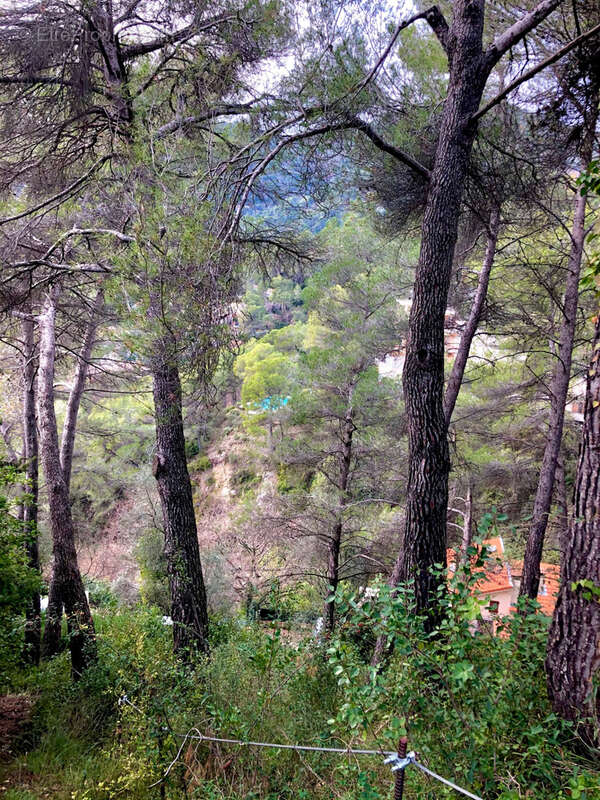 Terrain à TOURRETTE-LEVENS