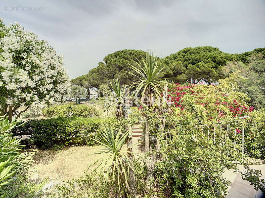 Appartement à LE GRAU-DU-ROI