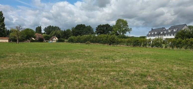 Terrain à SAINT-ETIENNE-LA-THILLAYE