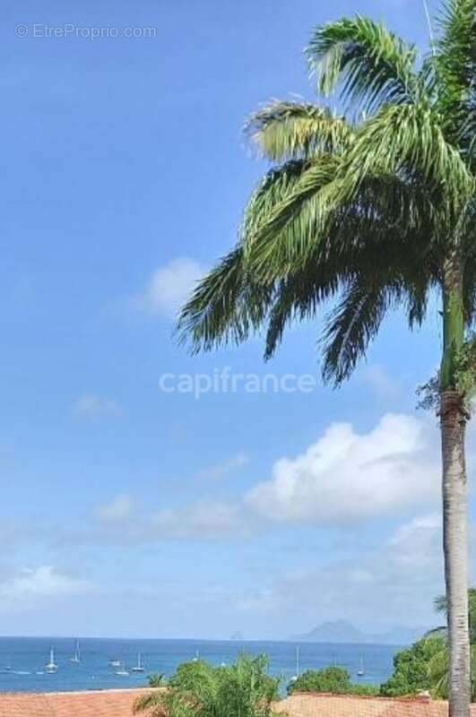 Appartement à SAINTE-ANNE