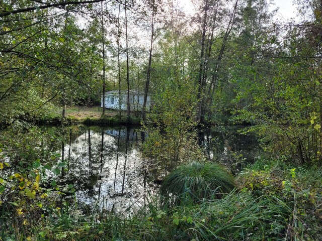 Terrain à STRASBOURG