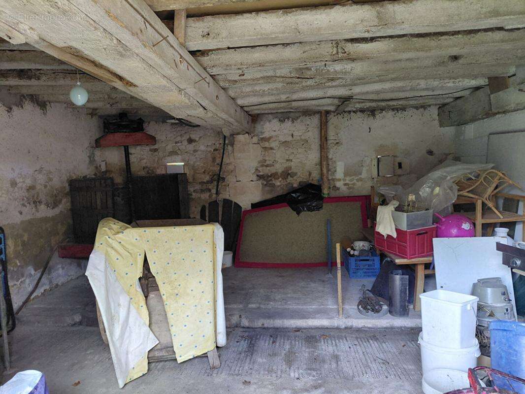 petite ferme - photo 14