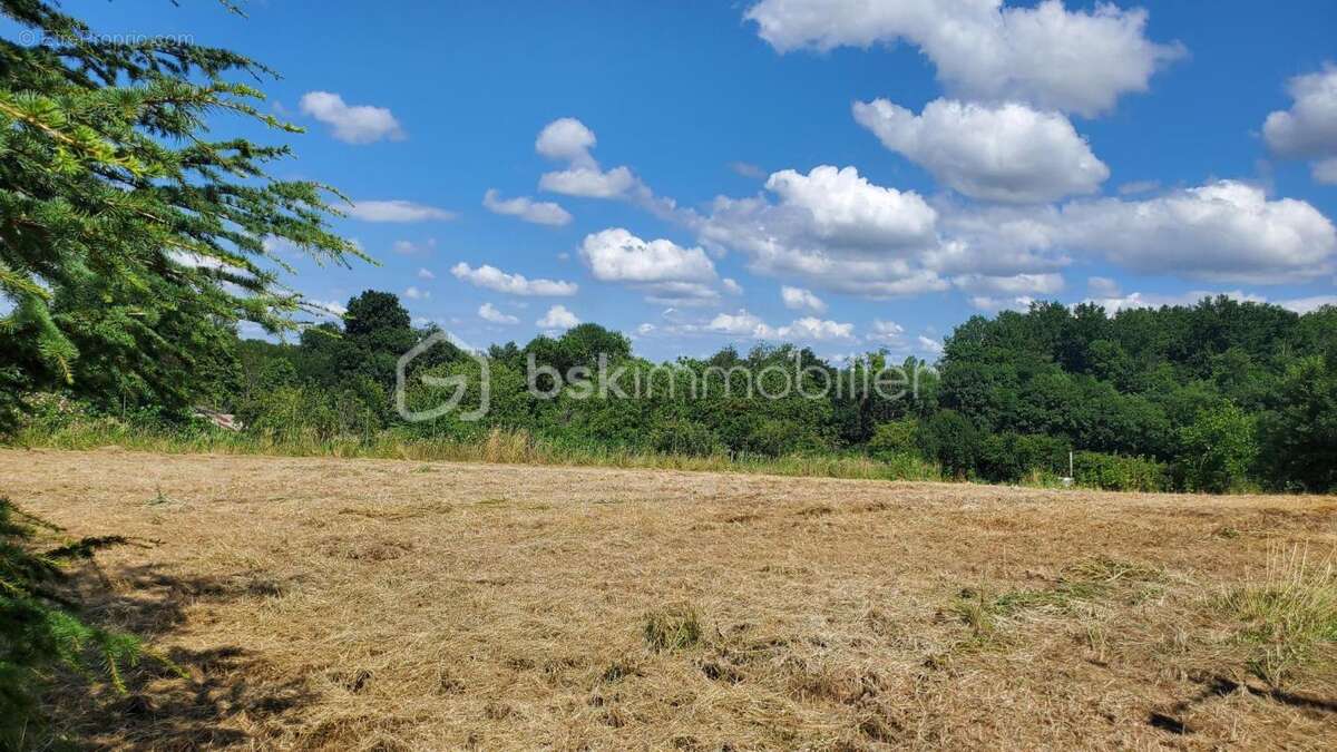 Terrain à MIRAMONT-DE-GUYENNE