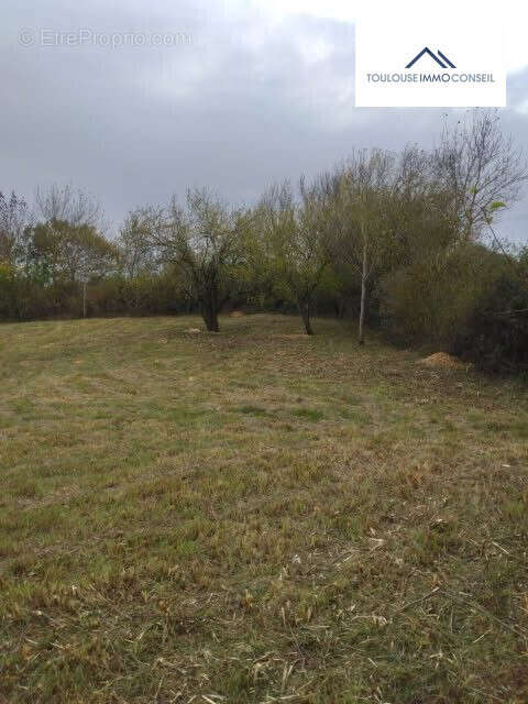 Terrain à AUREVILLE