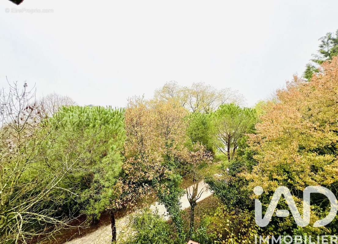 Photo 6 - Appartement à CASTRES