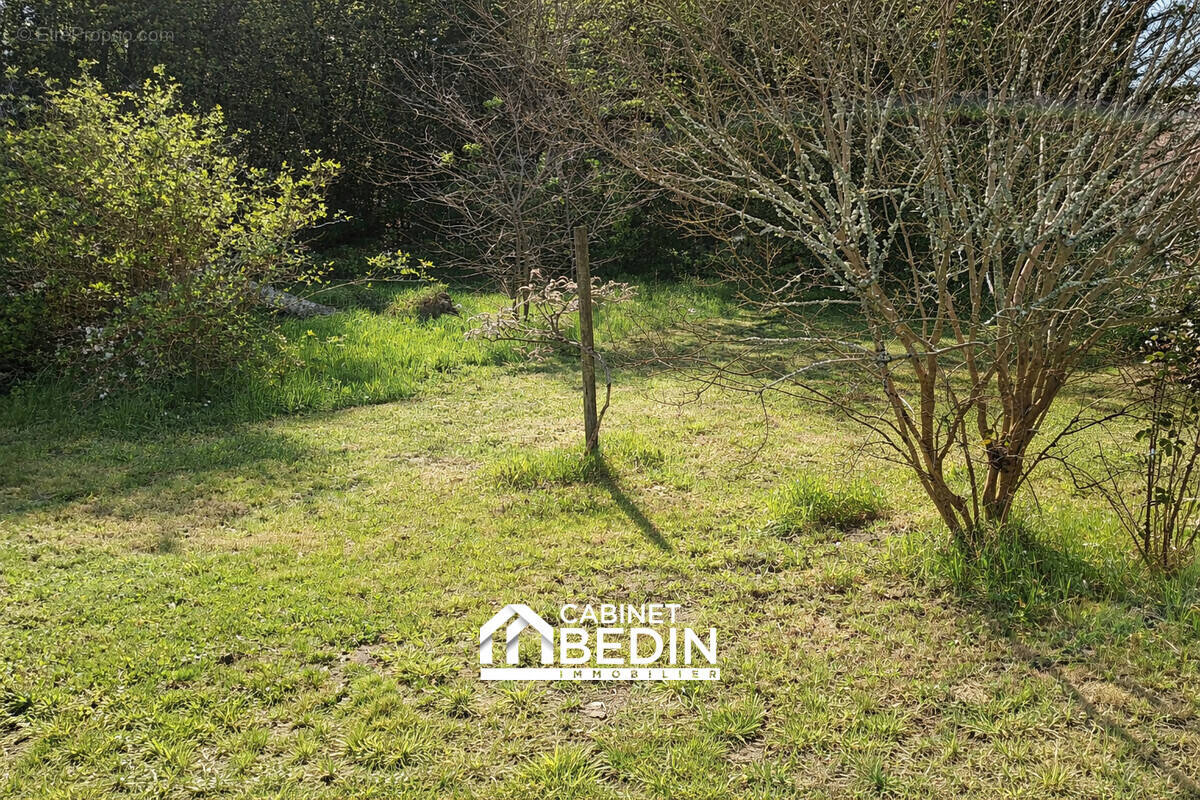 Terrain à ARES