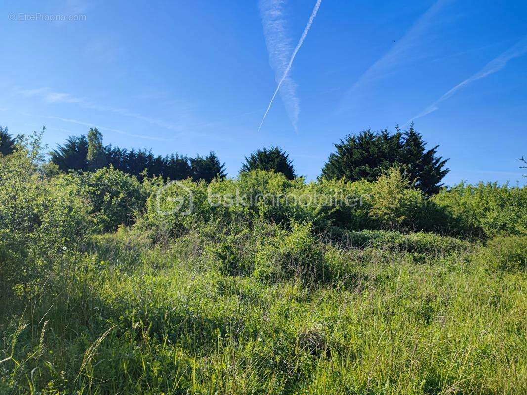 Terrain de loisir et arbres fruitiers de 5088 m² avec une belle vue - photo 5