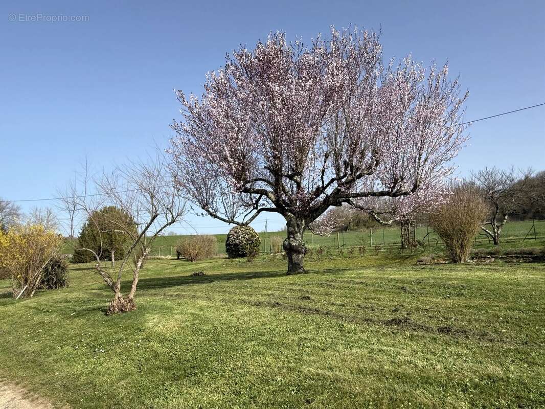 Maison à LA ROCHEBEAUCOURT-ET-ARGENTINE