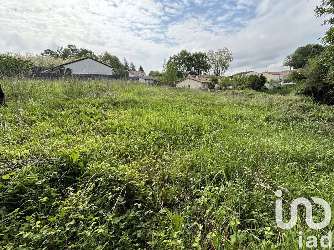 Photo 2 - Terrain à CHAMPCEVINEL