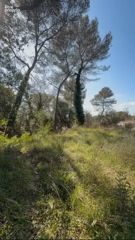 Terrain à bâtir de 1584 m² à ROQUEFORT-LES-PINS (06) - photo 2