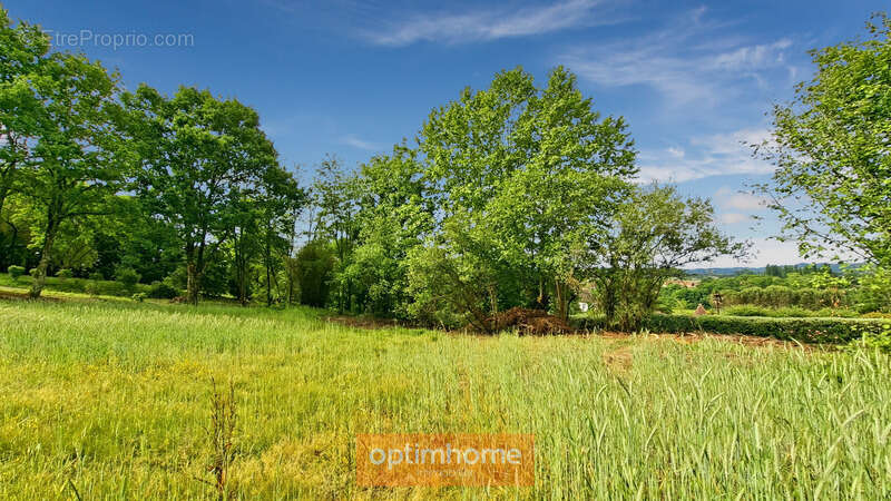 Terrain à SAUVETERRE-DE-BEARN