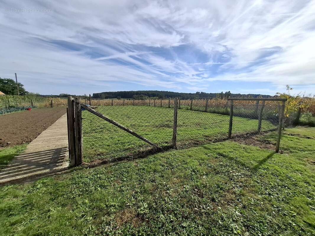 Terrain à SAINTE-SABINE-SUR-LONGEVE